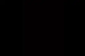 花旗骰，澳门花旗骰，双骰，能自己扔的骰子，两颗骰子怎么玩，