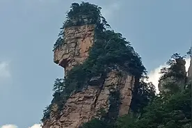 金鞭溪的猴子多视频封面