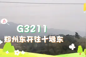 G3211，郑州东开往十堰东，途径平顶山西、南阳东、武当山西视频封面