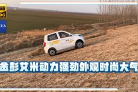 自带防溜坡功能金彭新款艾米，家用代步车自动挡好操作视频封面