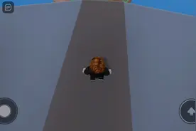 中文版罗布乐思