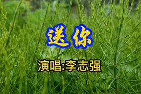 赏景听歌，一首《送你》歌声忧伤催泪…