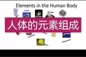 人体的元素组成视频封面