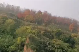 抖音看时间长了手机会卡顿教你一个方法去解决。视频封面