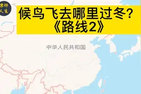 候鸟燕子向南飞是飞去哪过冬呢？路线让你大吃一惊！视频封面