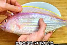 今天55块买了一条金丝鱼，胖江分享广东做法，鲜嫩入味又好吃视频封面
