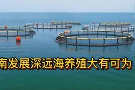 海南发展深远海养殖大有可为视频封面