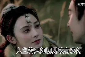 人生若只如初见有多好视频封面