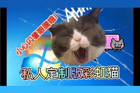 私人定制版彩虹猫,观赏时注意闪着眼睛哦