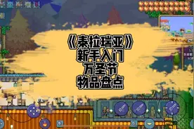 《泰拉瑞亚》新手入门-（万圣节）物品盘点视频封面