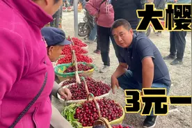 甘肃大樱桃成熟市场火爆，最低3元一斤看着馋人！质量到底咋样？视频封面