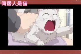 宠物医院里猫咪内心活动😂视频封面