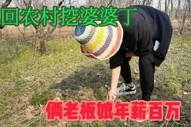 挖的到底是不是婆婆丁？俩姐妹打赌最后谁赢了视频封面