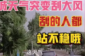 泰安肥城市，天气突变刮大风，刮的人都站不稳哦视频封面