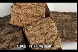 三先养生杜仲视频封面