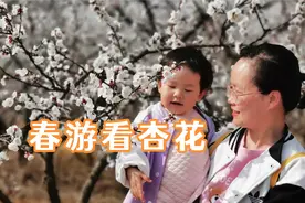 春天当然要去春游啊，妈妈带跃跃去杏树林看花，看跃跃都干了什么视频封面