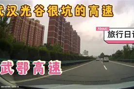为什么说武鄂高速很坑？这条高速有三大问题，轻易不要走这里！视频封面