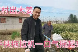 农村大姜，看看一亩地产量一万多斤的姜，成本非常高。真心不容易视频封面