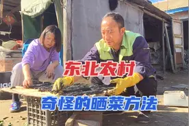 东北农村都用草灰晒黄瓜钱，方法很特别，都是老一辈流传下来的！