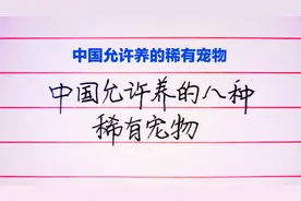 中国允许养的8种稀有宠物，你喜欢哪种？