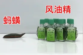 把蚂蟥放进风油精里！它会立刻吐血而亡么？