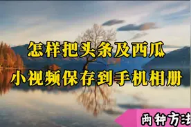 今日头条、西瓜视频看到喜欢的视频不会下载?两种方法分享给你