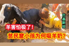 偶遇贫民窟小孩现场喝羊奶，惊呆我！网友寄来礼物送给孩子们视频封面