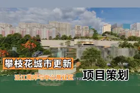 攀枝花沿江南岸与中心商业区项目策划视频封面