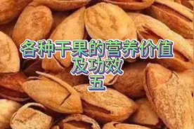 分享坚果的功效及作用视频封面