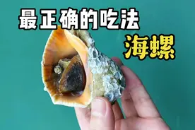 很多美食博主错了，海螺正确的处理方法应该是这样的视频封面