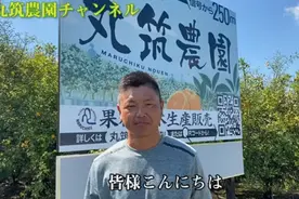 日本最新品种柑橘苗木视频封面