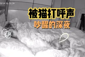 你们家猫咪打呼噜么？吵醒人那种！不仅要睡我的床，还要打呼噜！视频封面
