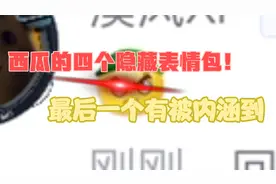 西瓜的四个隐藏表情包！最后一个有被内涵到！视频封面