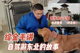 返程回家结束旅行，给狗狗讲旅行的故事，重温自驾内蒙古的苦与乐视频封面