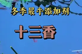 冬季野钓的神级添加剂，十三香，下杆就连中两尾红鲤鱼，双飞鲫鱼视频封面
