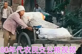 实拍80年代农民交公粮视频，父辈们难以忘记的回忆，看完泪湿眼眶