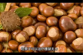 每天早上空腹吃俩个生板栗可以有效治疗腰腿疼痛视频封面