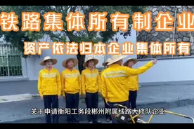 广州铁路局集团公司侵吞转移衡工段郴州附属队集体所有制企业资产视频封面