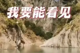 我要能看见视频封面