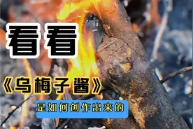 《乌梅子酱》是如何创作出来的