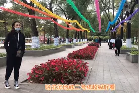 今天乘船去的太阳岛，返回坐地铁二号线，二号线美观、漂亮、大气视频封面