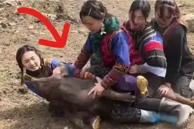 大凉山彝族女孩漂亮又能干，逮猪现场直让人目瞪口呆，霸气强悍啊视频封面