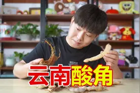 试吃超酸的云南大酸角，19.9买了一斤，真的会酸到发苦？