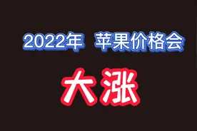 2022年新苹果价格会大涨视频封面