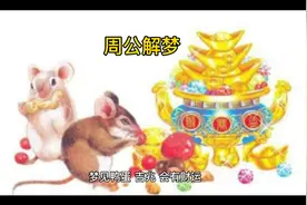解梦视频封面