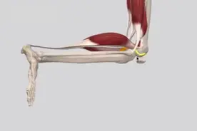 膝关节无缘无故的痛，却没有具体疼痛点，哪里出现问题？？？视频封面