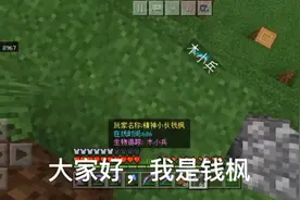 我的世界：建造熊猫乐园