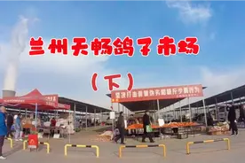 兰州天畅鸽子市场（下）物美价廉！位于兰州市七里河区南山路西段视频封面