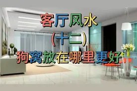 狗窝放在哪里最好，喜欢养狗的朋友不一定都知道