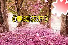 《春暖花开》视频封面